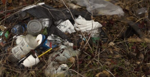 Comprehensive, Statewide Litter Pollution Study Underway