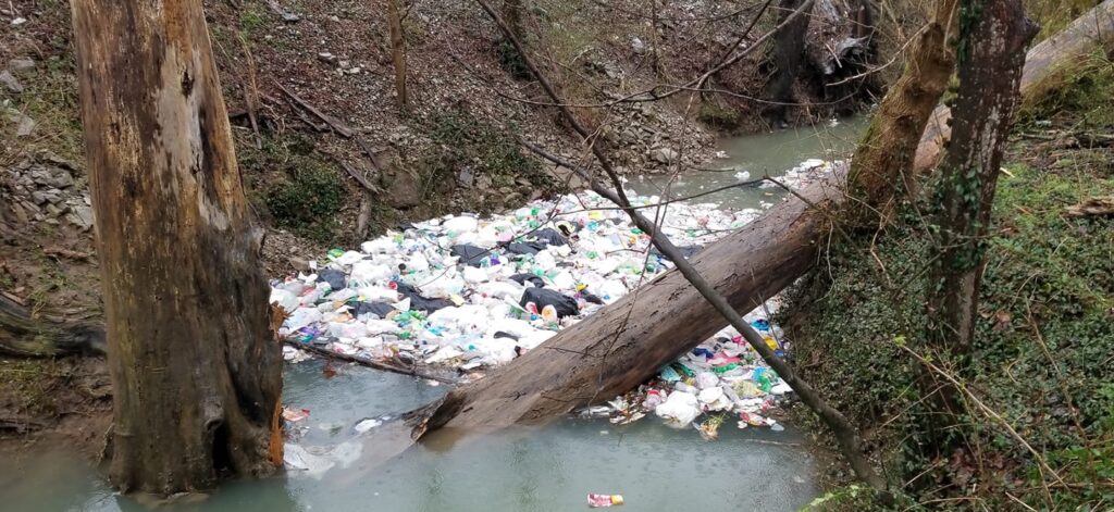 Litter piled up in a creek behind a fallen tree.