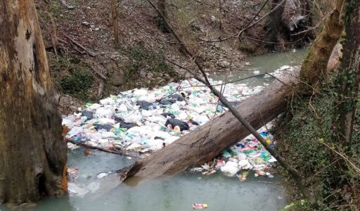 Litter piled up in a creek behind a fallen tree.